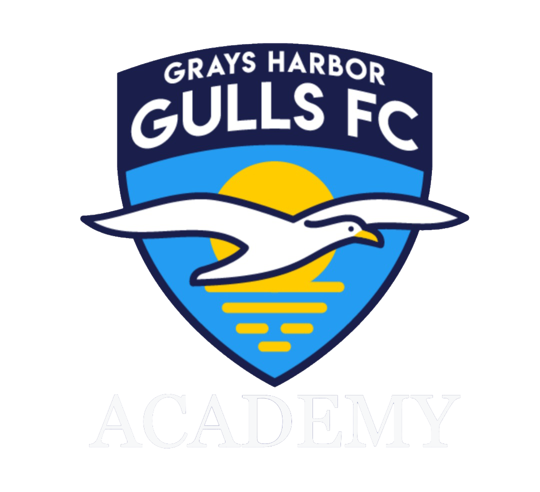 Gulls Academy Logo PNG