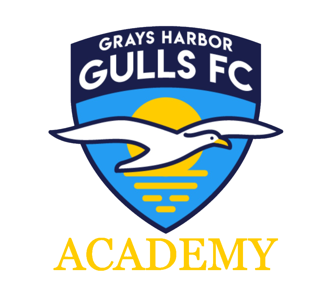 Gulls Academy Logo png Yellow